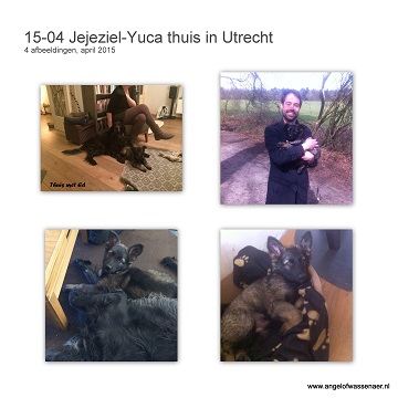 Yuca thuis in Utrecht